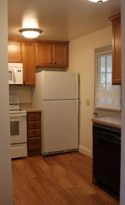 student apartments for rent in Cortland New York 126 1/2 Tompkins St. Kitchen 2