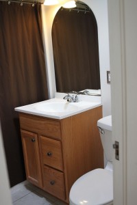 Student Apartment Rentals in Cortland 14-3 Harrington Bathroom