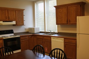 Apartments for rent in Cortland Near SUNY Cortland Campus 81 Tompkins St Apt C Kitchen