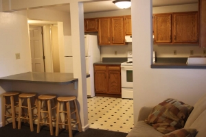 student apartments for rent in Cortland New York 62 Groton Ave. Apt. C Kitchen 2